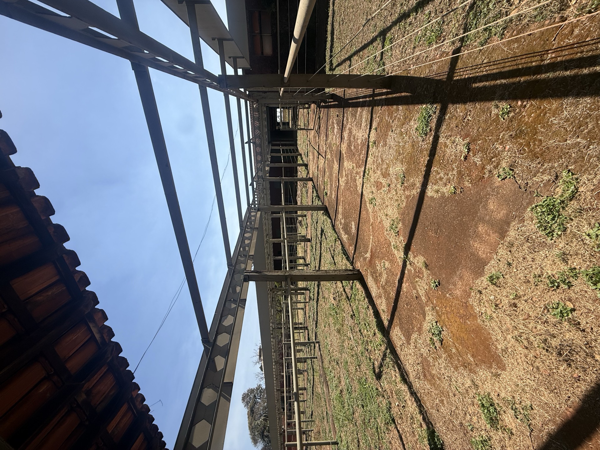 Foto 12 do complexo